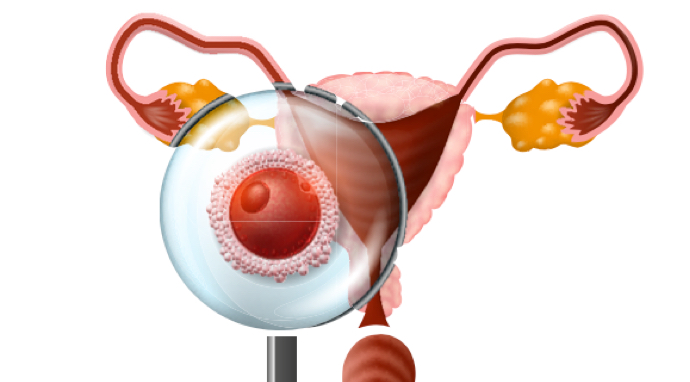 image-fecondation-in-vitro