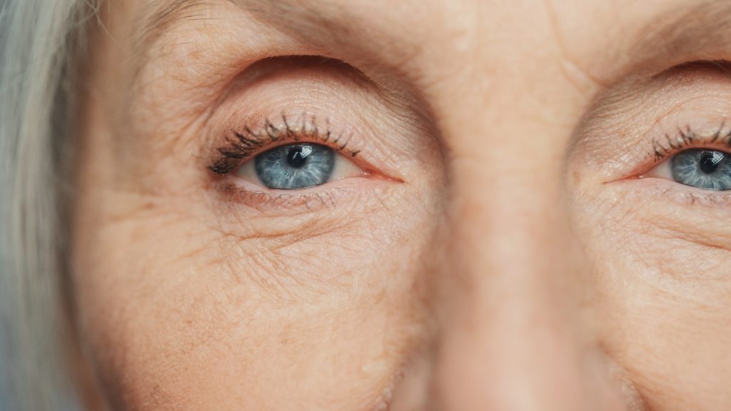 Multifocal Iol (Intraocular Lenses): Pros And Cons, Prices And Success Rate