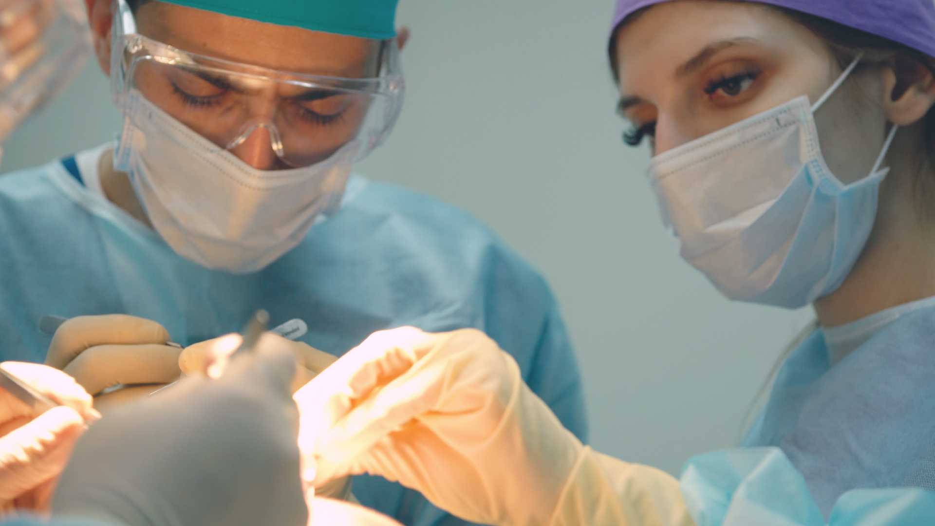 a surgeon performing a hair transplant