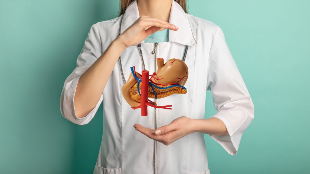 Female,Doctor,With,A,Stethoscope,Is,Holding,Mock,Stomach,In