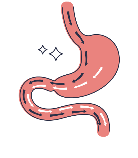 03 EN Dessins pages filles_Bypass EN-01