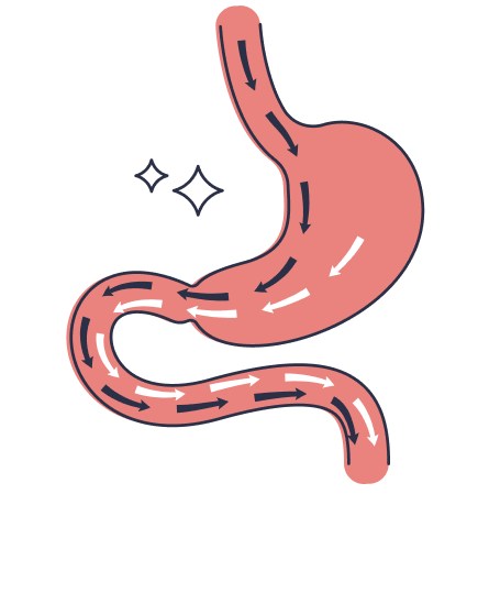 03 FR Dessins pages filles_Anneau gastrique FR-01