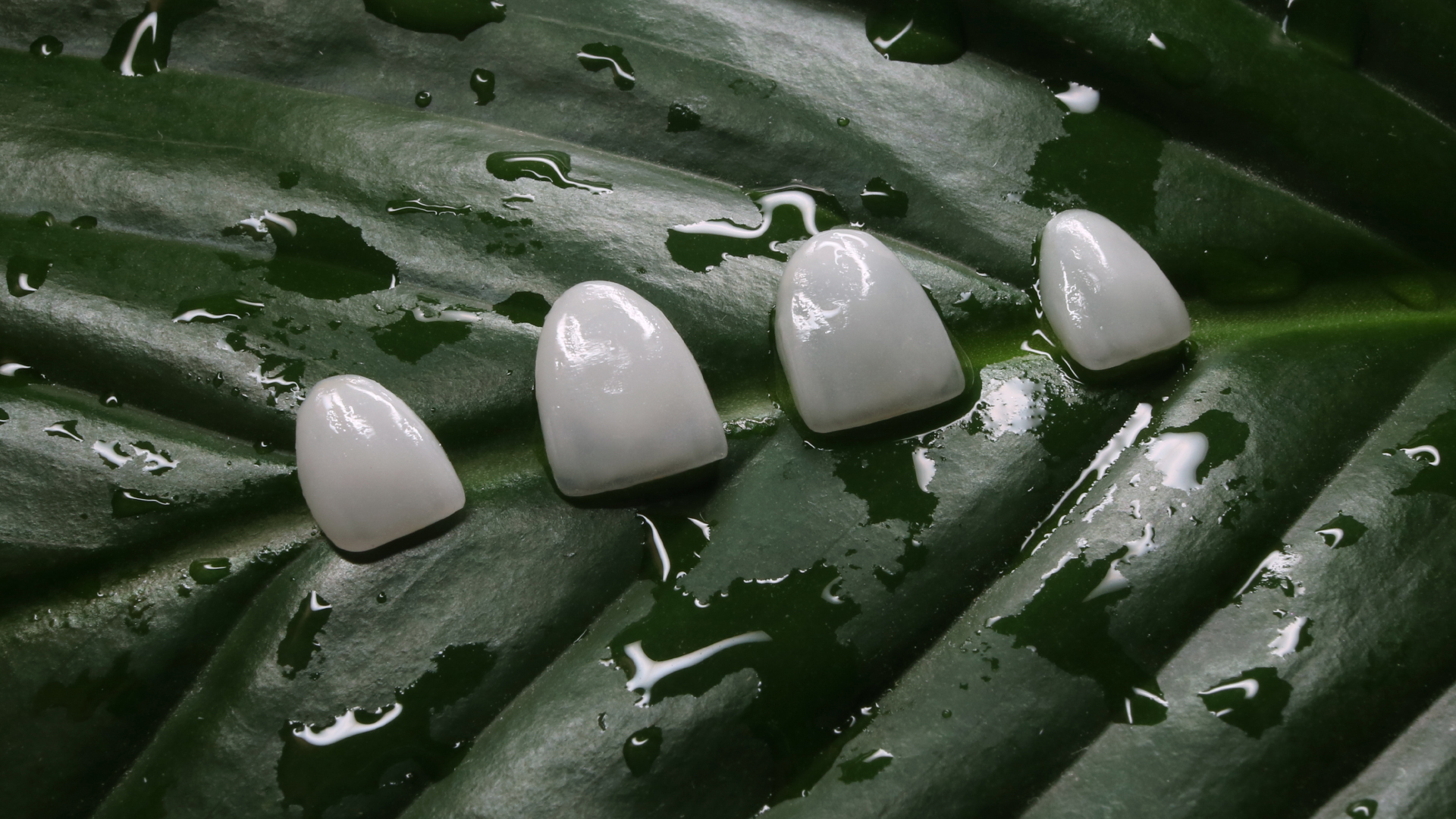 Four dental veneers resting on a green leaf covered in water droplets